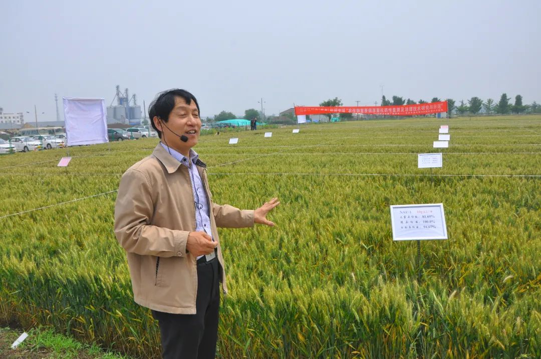 周明国:一场坚持30年的粮食保卫战