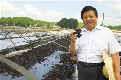 “蘑菇”院士李玉和他的致富“法宝”