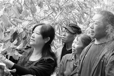 吕秀兰:把科研成果“种”在田间地头 吕秀兰:把科研成果“种”在田间地头
