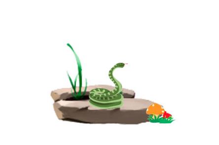 为什么打蛇要打七寸?