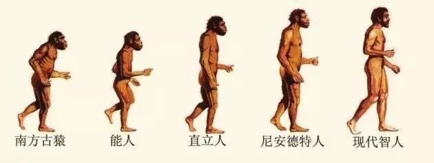 广西发现16000年前人类头骨化石?老新闻上热搜,评论捉急