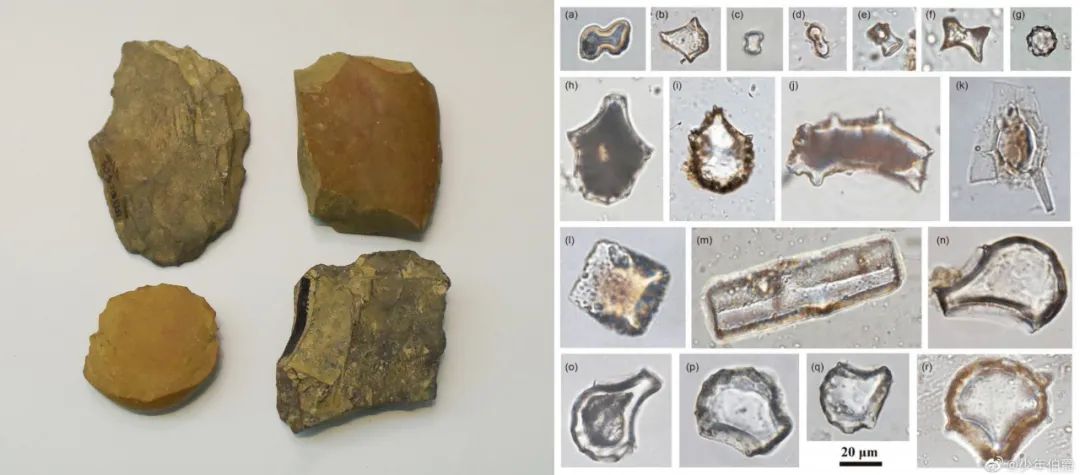 广西发现16000年前人类头骨化石?老新闻上热搜,评论捉急