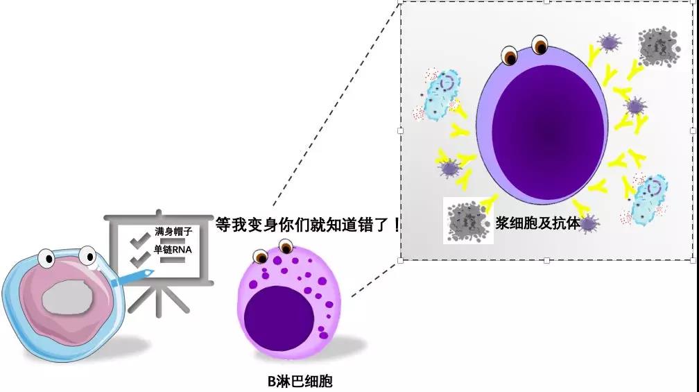 “新冠”来了,你的身体在干什么?