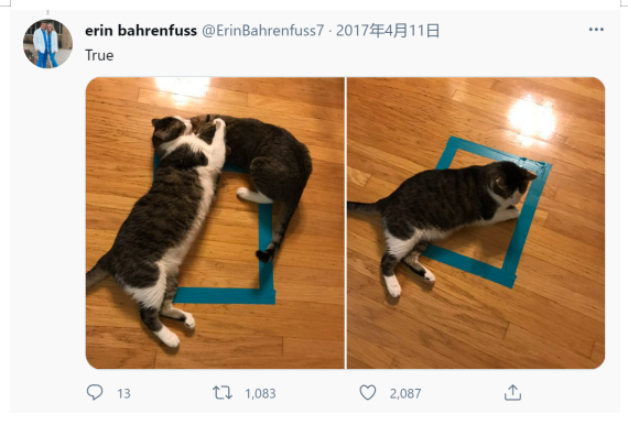 画个圈就能捉住一只猫,“画地为牢”为什么管用?