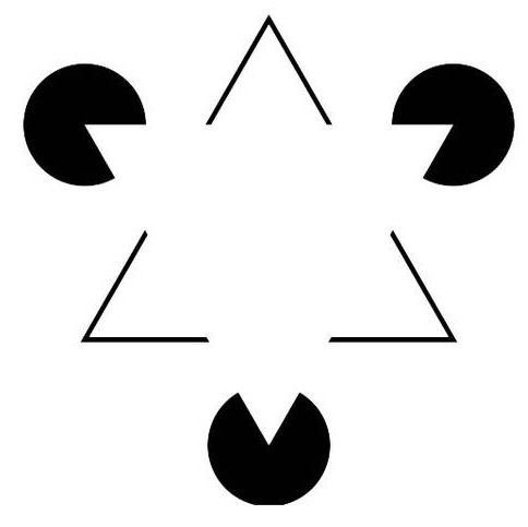 画个圈就能捉住一只猫,“画地为牢”为什么管用?