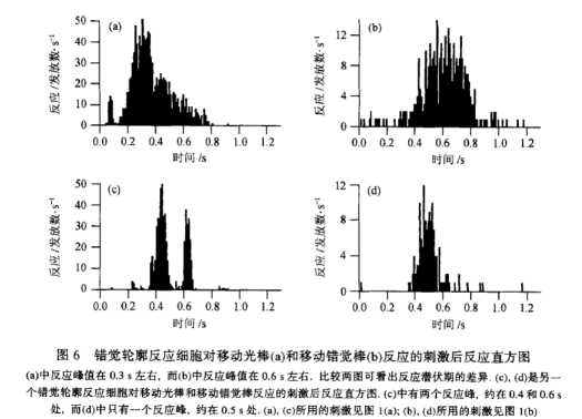 画个圈就能捉住一只猫,“画地为牢”为什么管用?