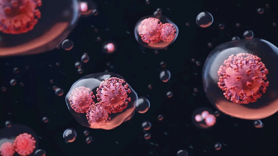 不过是破了个泡泡,科学家还能研究出个花来?