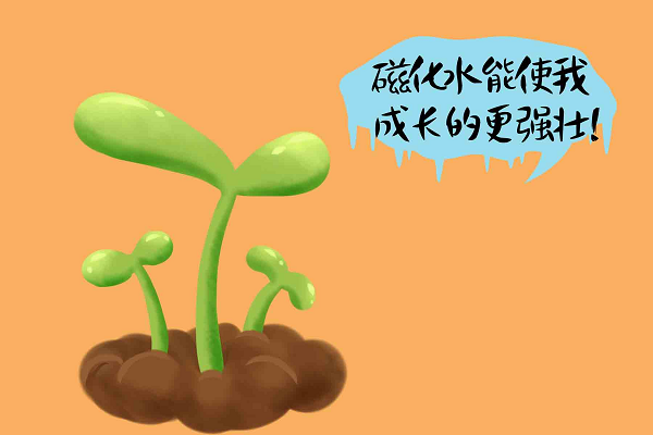 磁化水还可以这样用